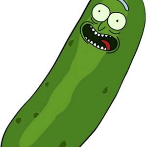 Meet your Posher, Joey